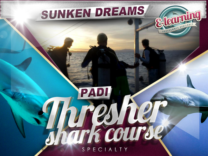 Sunken Dreams PADI Thresher Shark Diver Specialty