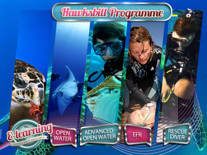 The Hawksbill - Level 3 Academy Course Package Plan