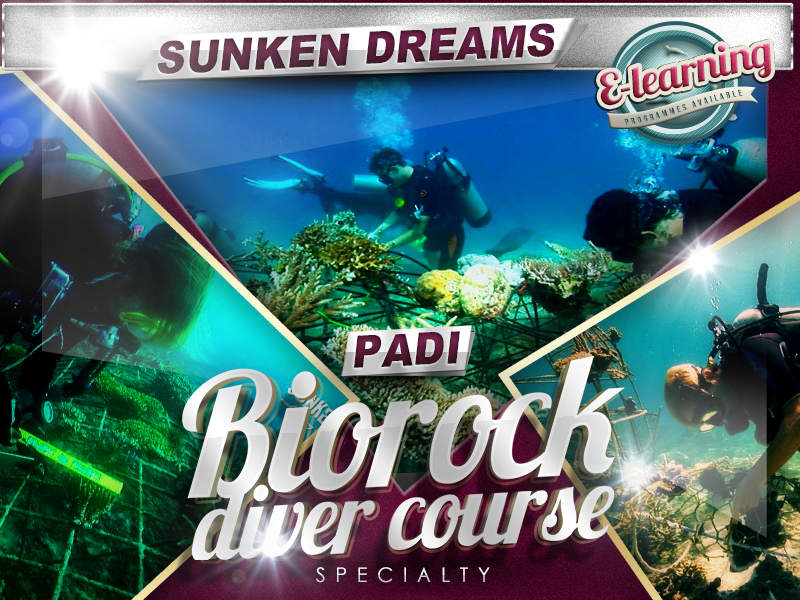 Sunken Dreams PADI Biorock Specialty Course