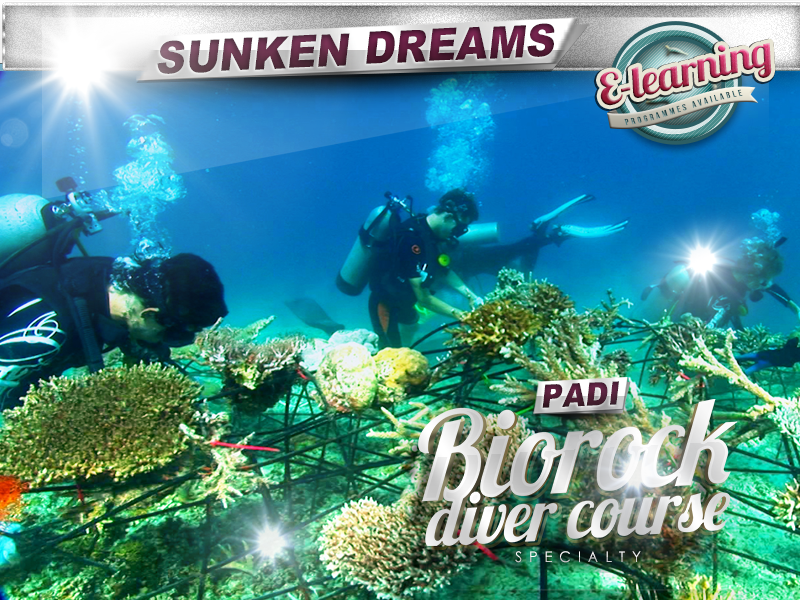 PADI Biorock Diver Specialty Course