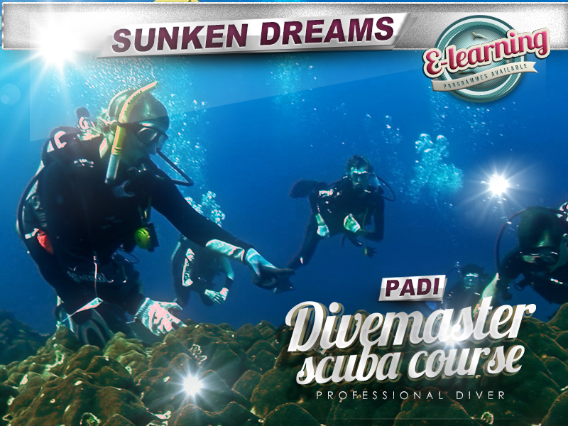 PADI Divemaster Professional Diver Course