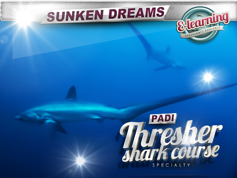 PADI Thresher Shark Diver Specialty