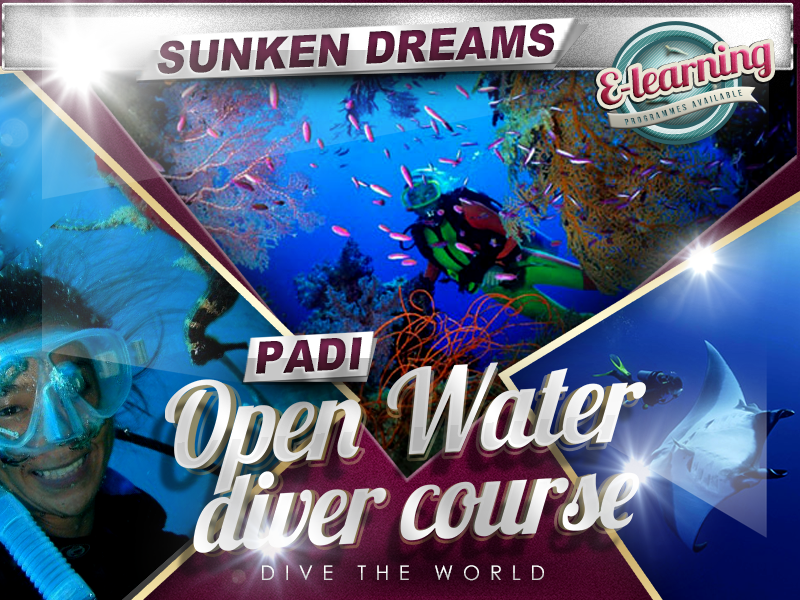 The Kemp Ridley Plan: PADI Open Water Diver Certification