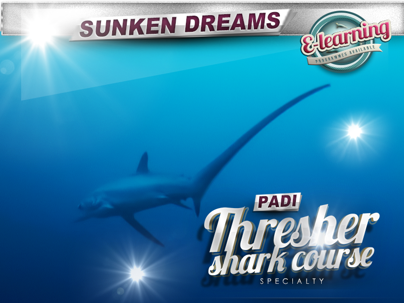 PADI Thresher Shark Diver Specialty