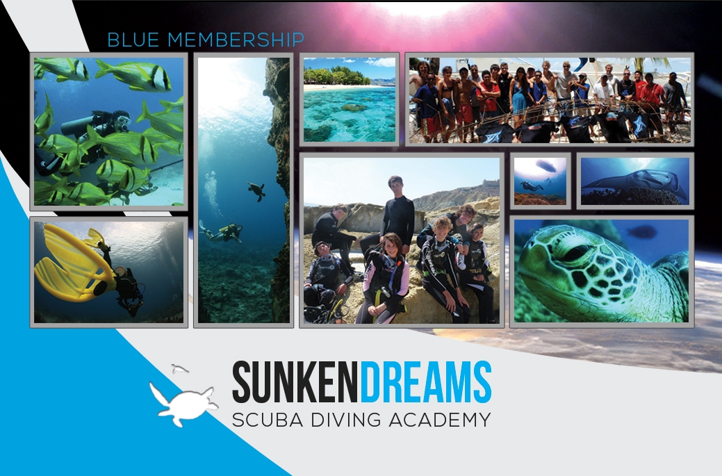 Blue Fin Diver Membership