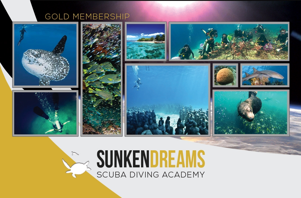 Gold Fin Diver Membership