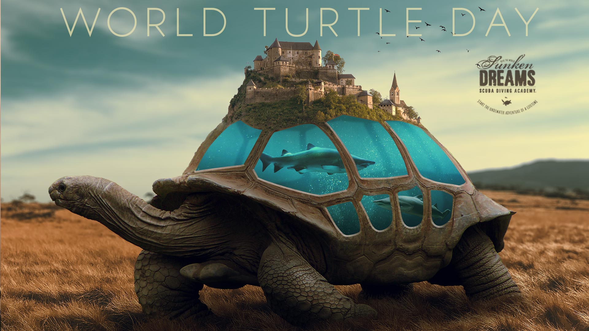 SDSDA-Events-Courses-Images1920x1080-turtle-day