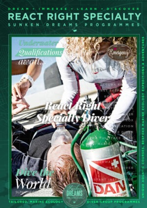 Sunken-Dreams–Elearning-1080×1920-Vertical-RR-30