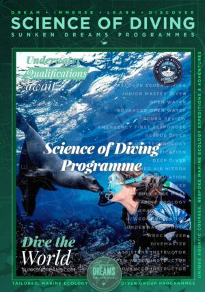 Sunken-Dreams–Elearning-1080×1920-Vertical-XS-ScienceofDiving